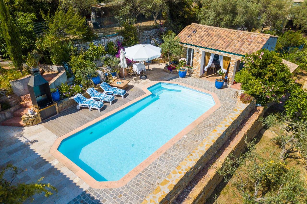 Apartment Le Camélia: Charming With Pool In Tranquil Estate *